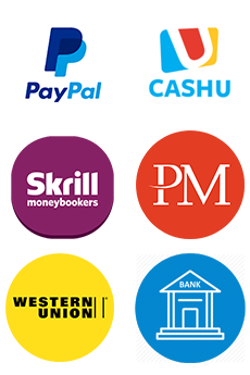 PayPal - Bank transfer - Credit Card - Perfect Money - Skrill - CashU - western union